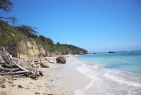 large-beachfront-property-land-puerto-plata-for-sale-dominican-republic