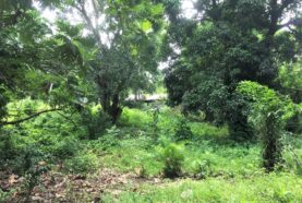 affordable-land-for-sale-Muñoz-Puerto-Plata