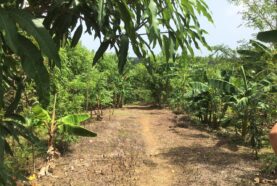 grand-investment-property-for-sale-Puerto-Plata