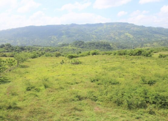10-lots-properties-cupey-for-sale-puerto-plata