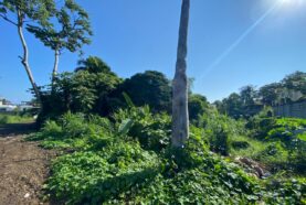 large-property-for-sale-bayardo-puerto-plata