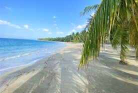 Grandiose-Beachfront-Property-for-sale-Gaspar-Hernandez