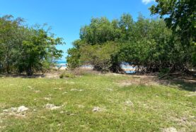 Large-property-in-Cangrejo-close-to-Punta-Bergantin-For-Sale