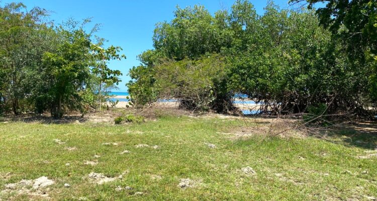 Large-property-in-Cangrejo-close-to-Punta-Bergantin-For-Sale