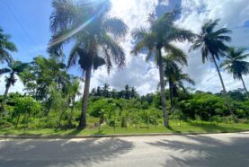 Lot-Cerro-Verde-1500-Puerto Plata-Near-Playa-Dorada