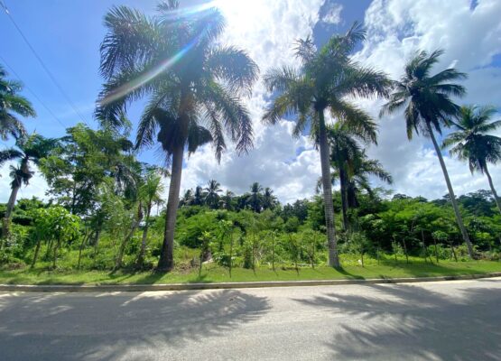 Lot-Cerro-Verde-1500-Puerto Plata-Near-Playa-Dorada