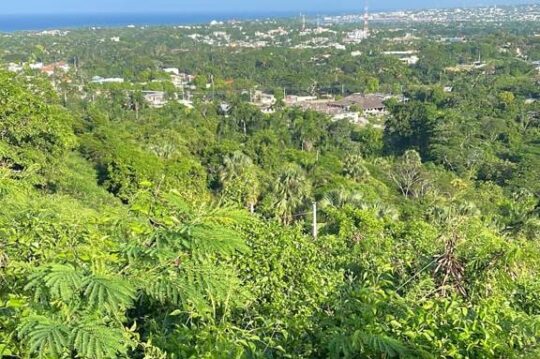 Prime Ocean-View Hillside Lot For Sale Cofresí Puerto Plata