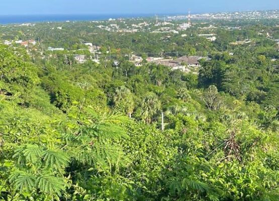 Prime Ocean-View Hillside Lot For Sale Cofresí Puerto Plata