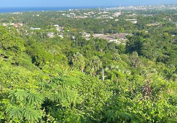 Prime Ocean-View Hillside Lot For Sale Cofresí Puerto Plata