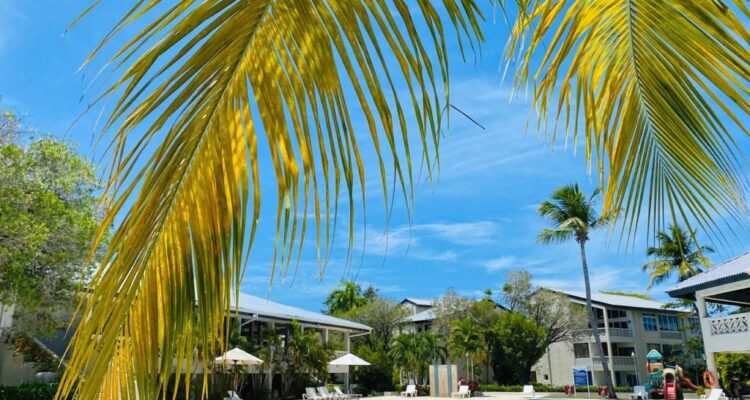 Elegant Condo for Sale in San Marino Playa Dorada Puerto Plata