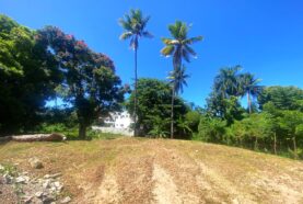 Prime Lots For Sale Costambar Puerto Plata close to the beach