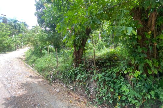 Land for Sale in Cantabria Puerto Plata