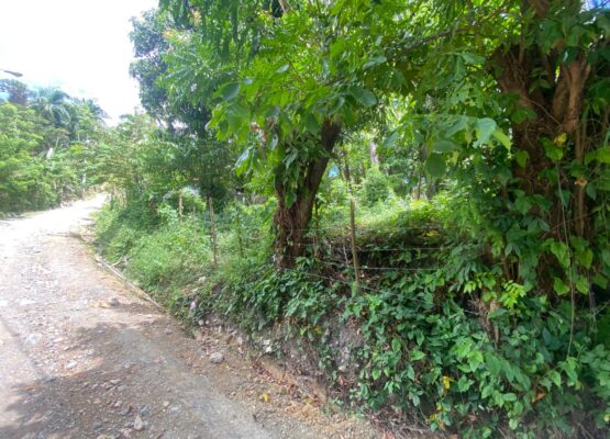 Land for Sale in Cantabria Puerto Plata