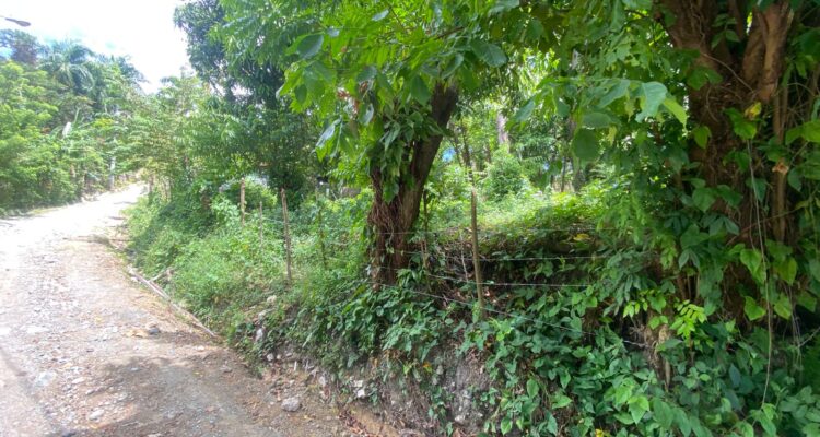 Land for Sale in Cantabria Puerto Plata